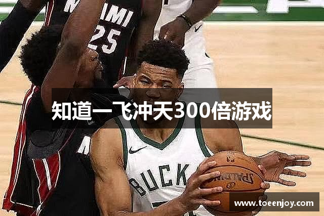 知道一飞冲天300倍游戏